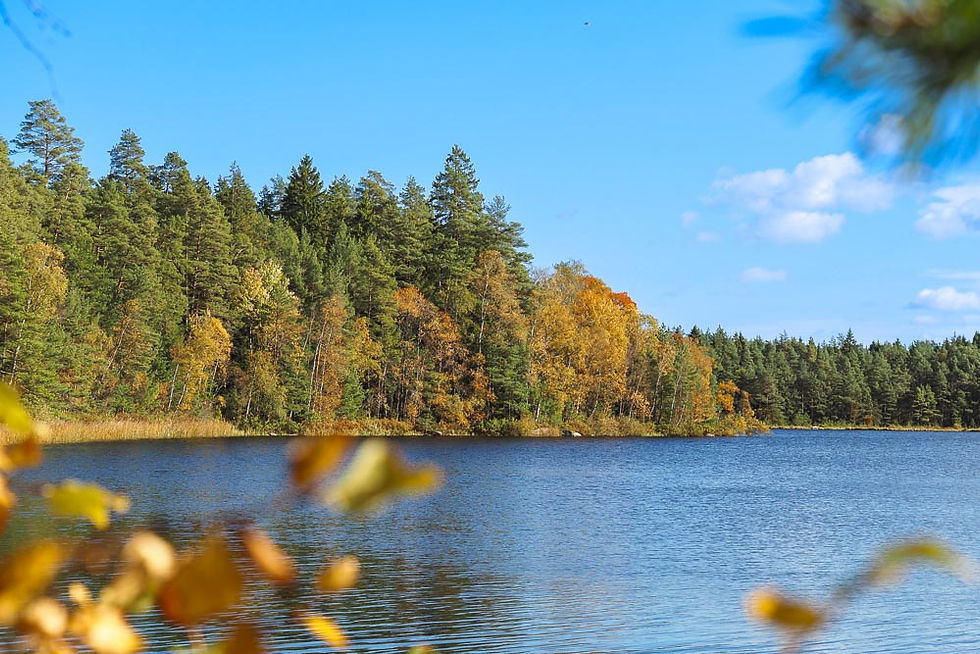 Sjö med hörstfärgade träd