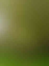 Övergång över stenmur