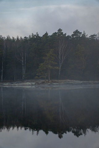 Ö i dimmig sjö