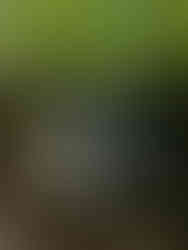 Tjej framför vattenfall