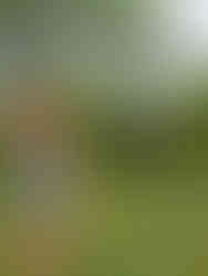 Vandrare bakom ledmarkering