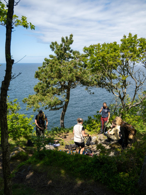 Månniskor vid en utsiktsplats mot havet