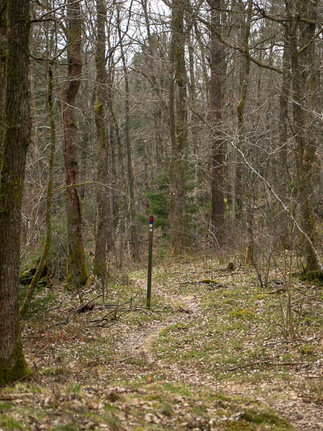 Stig med ledmarkering