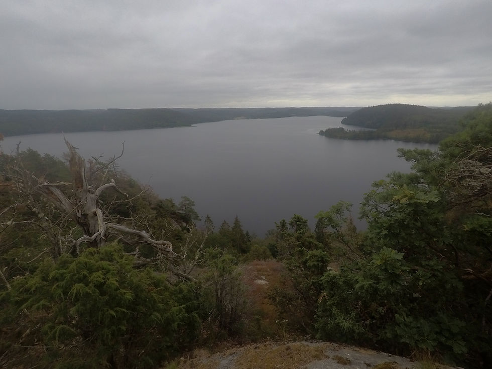 Utsikt över sjö