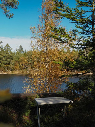 Bors framför höstteäd och sjö