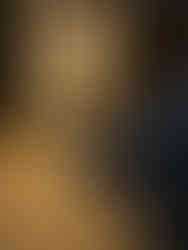 Solen genom blåbärsris