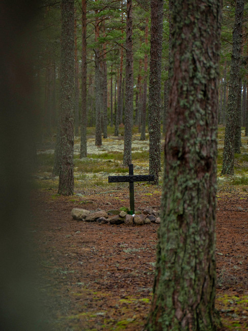 Falks grav. Kors i skogen