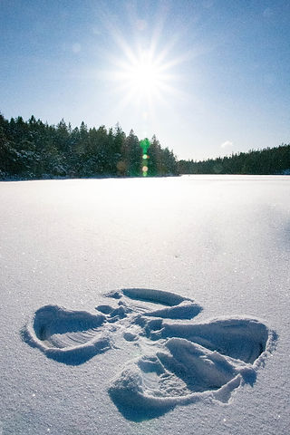 Snöängel på is