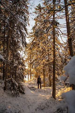 Kvinna i skog