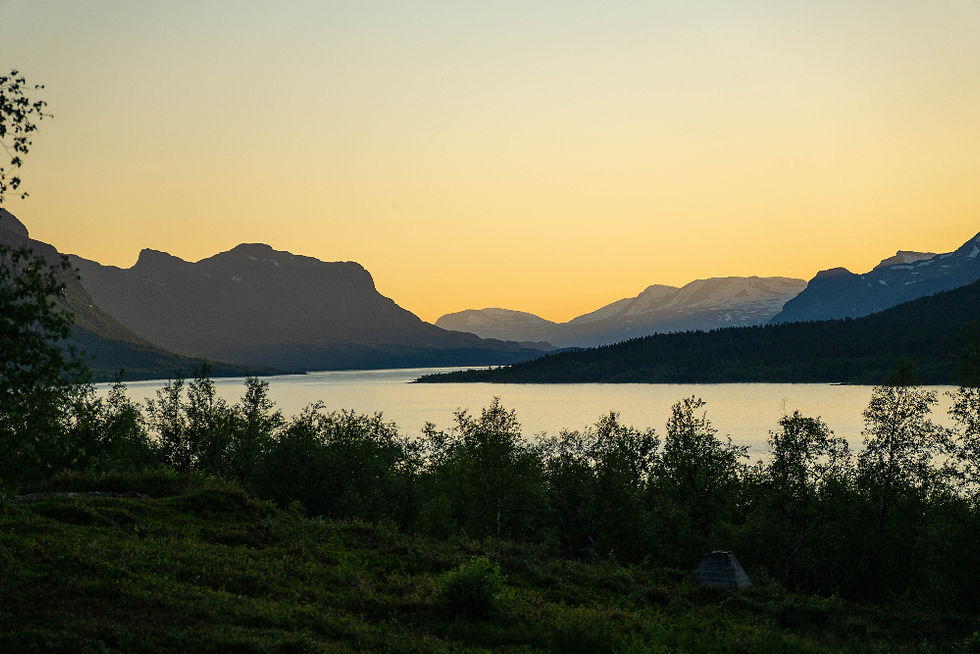 Wolnedgång i fjällen