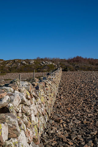 Stenmur