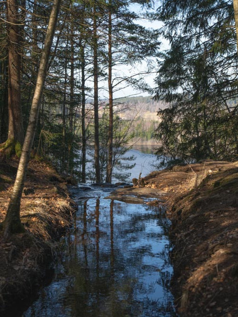 Toppen av Fluxfallet