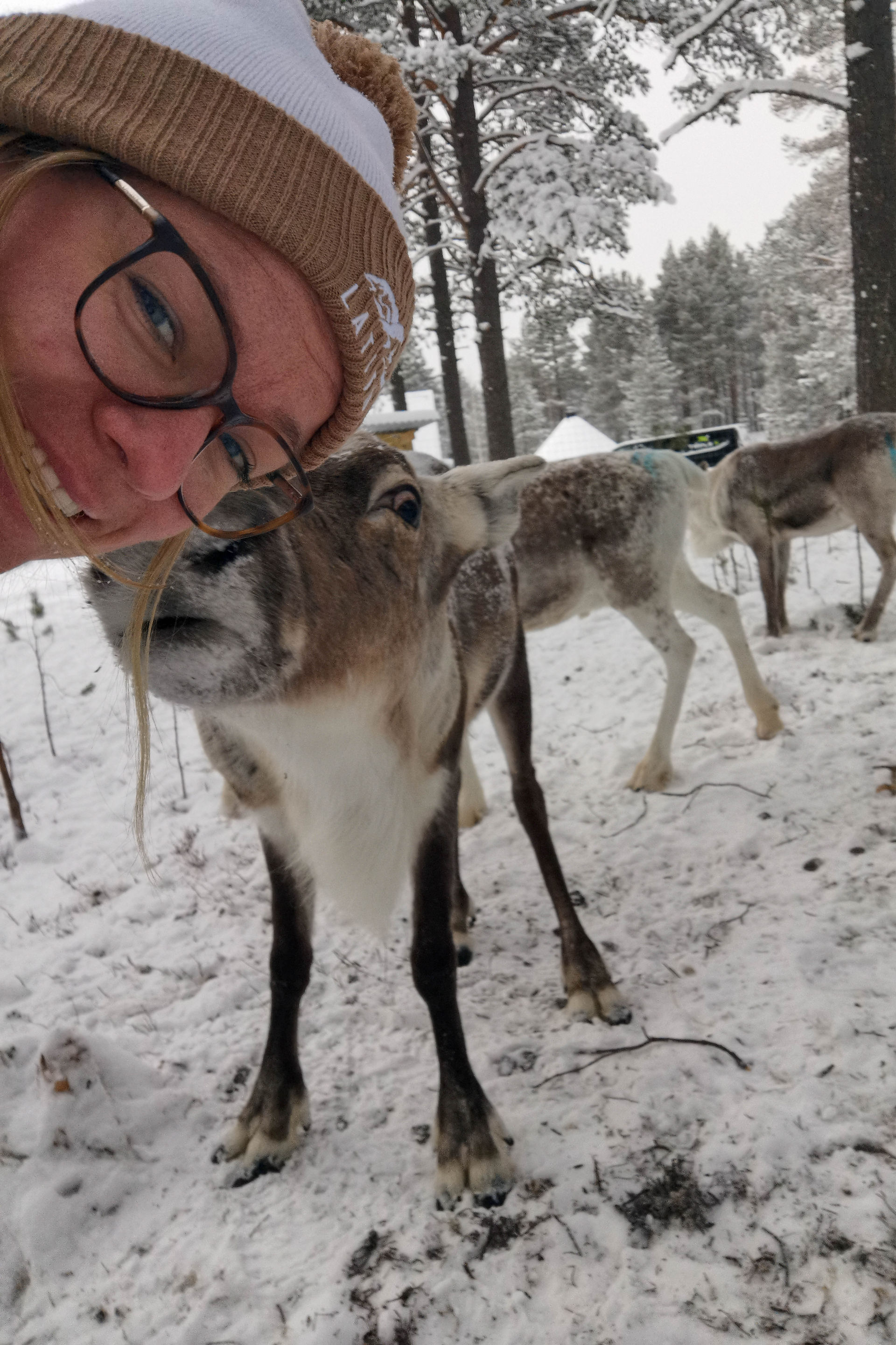 Selfie med ren