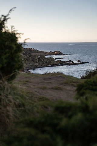 Hovs hallar