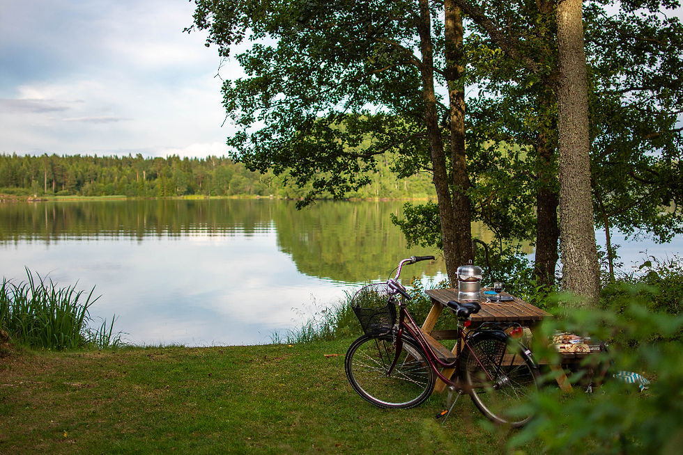 Cykel och picknickbord vid sjö