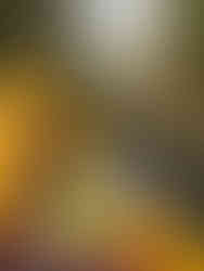 Frystorkad mat i gul hängmatta