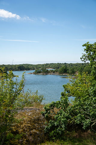 Utsikt över havet