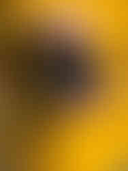 Kamera mot gul jacka