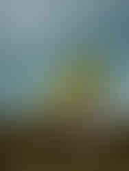 Liten tall framför turkos is