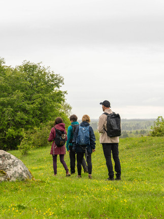 Vandrare framför utsikt