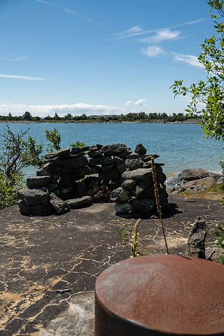 Stenröse