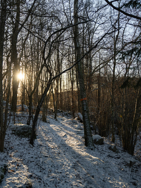 Stig längst med sjön