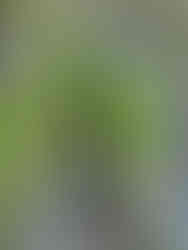 Smal ingång i Trollgrottan