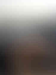 Stekhäll på eld med bohus fästning i bakgrunden