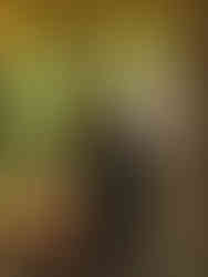 Kvinna föreläser ute