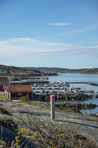 Grönemad