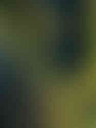 Drönarbild över sjöar