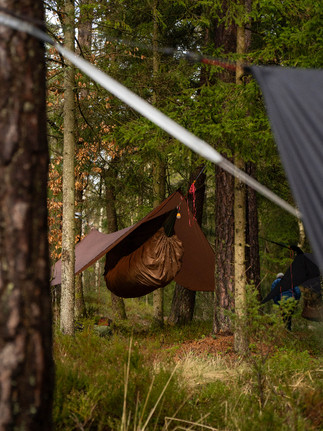 Hammock i skog