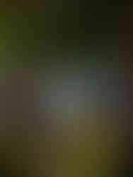 2 män pratar framför sjö