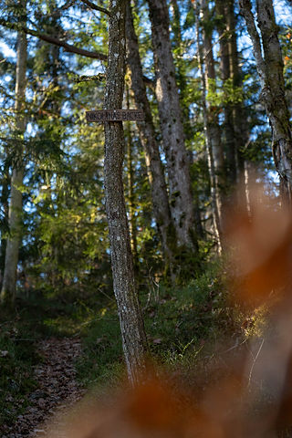 skylt i skog
