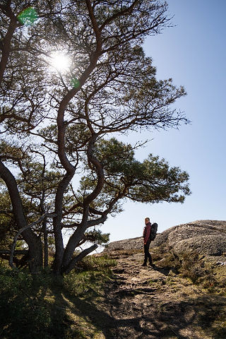 Vandring vid havet