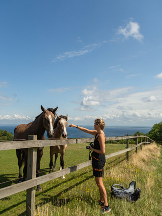 Sara hejar på hästarna