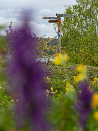 Blommor framför ledmarkering