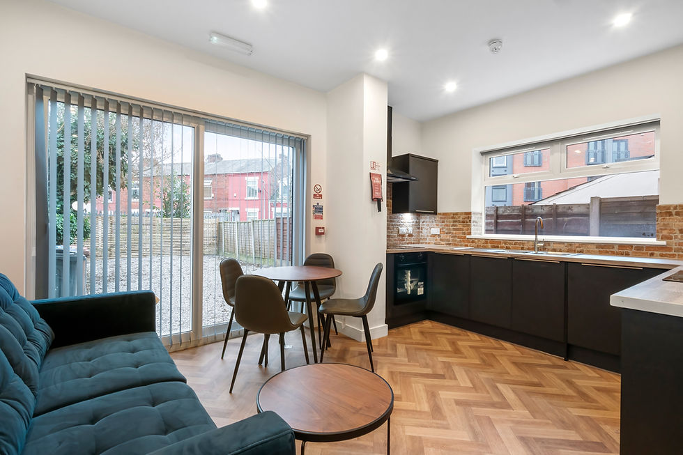 Lounging area/kitchen