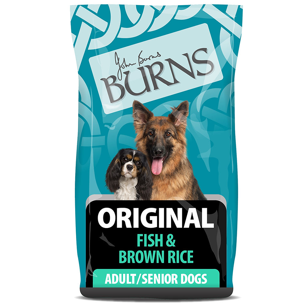 2KG Burns Original Fish & Brown Rice