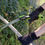 Thumbnail: Folding Pruning Saw