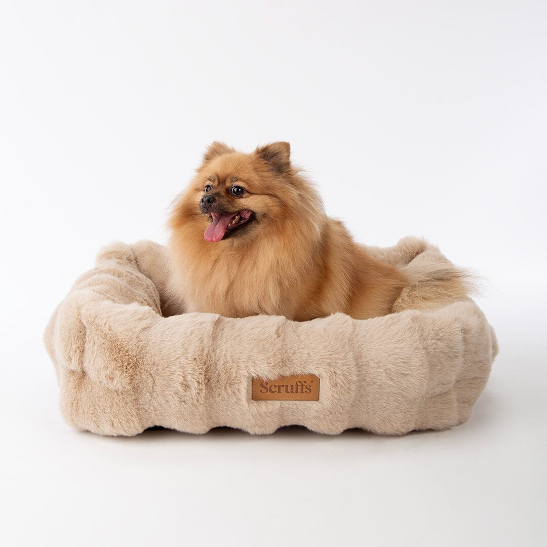 Scruffs Alpine Box Bed (M) Champagne
