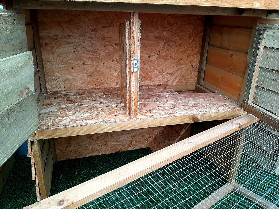 Thumbnail: 3ft Double Timber Hutch with Run 