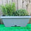 Thumbnail: Rosemary & Thyme Window Box