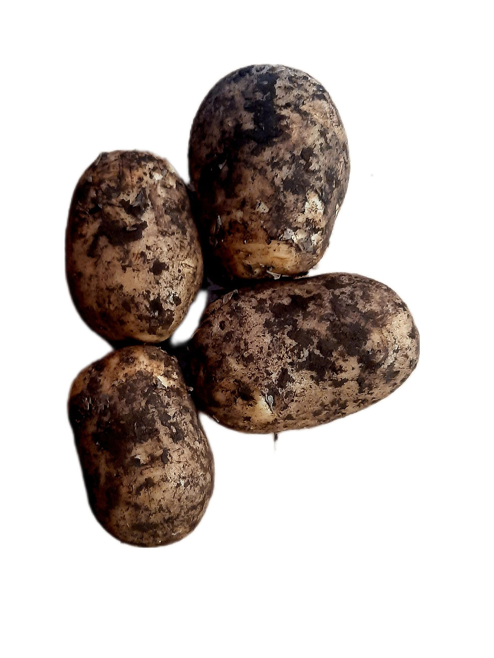 Pilling Potato Sack (25kg)