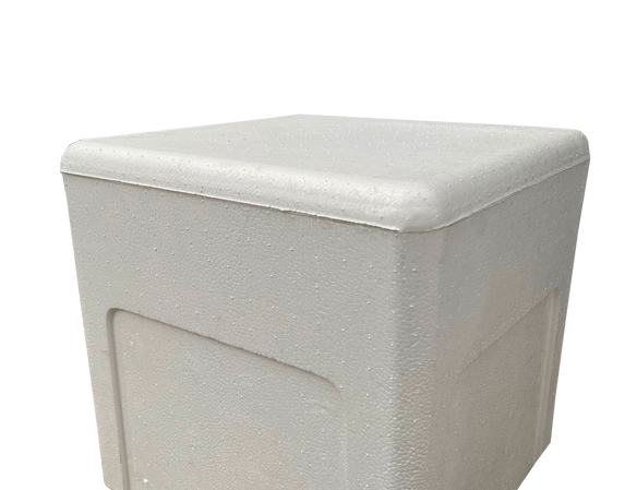 CAJA G5.png