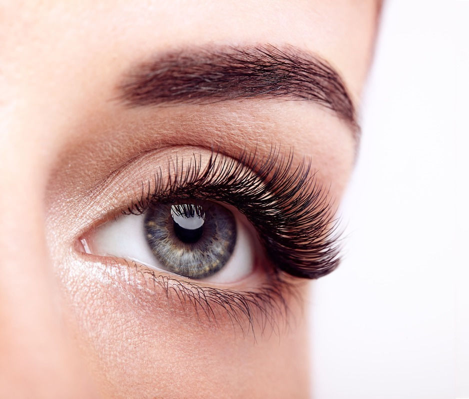 Nahaufnahme von einem wunderschönen Auge mit langen Wimpern und Augenbrauen. Mokka Beauty & Style