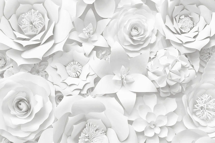 Different white hand made paper flower decorative wedding background__.jpg