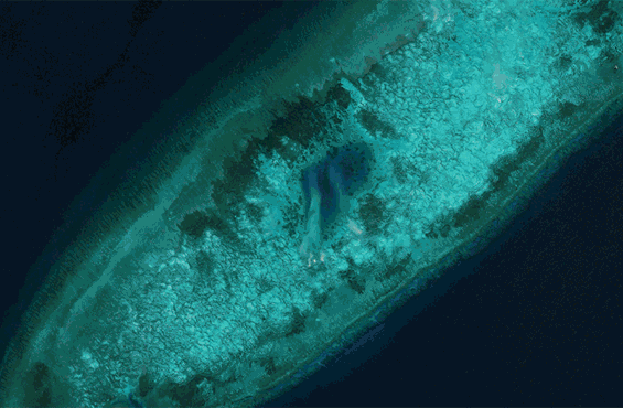 securewatch-monitoring.gif