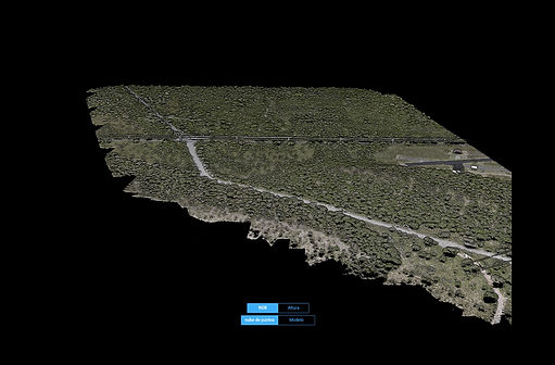 rtk-web-01.jpg