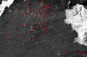 ENVI-Insight_maritime-Geospace_Solutions.jpeg